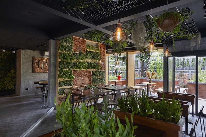 Exploring Haoma, Bangkok’s First Urban FarmToTable Restaurant