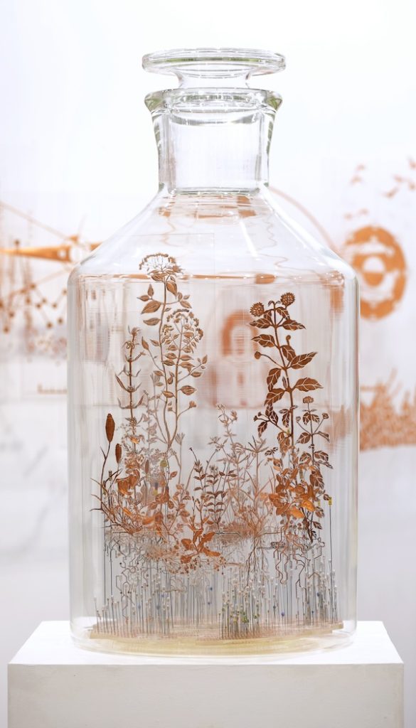 Glass Jar, Nandita Kumar